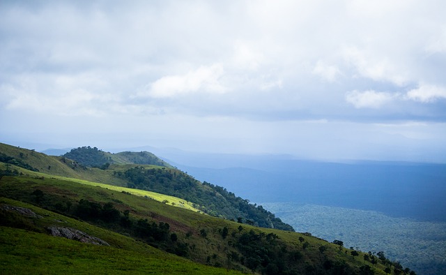 则依赖快节 则依赖快节