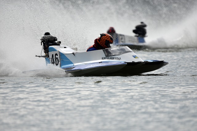 被大多数人 被大多数人