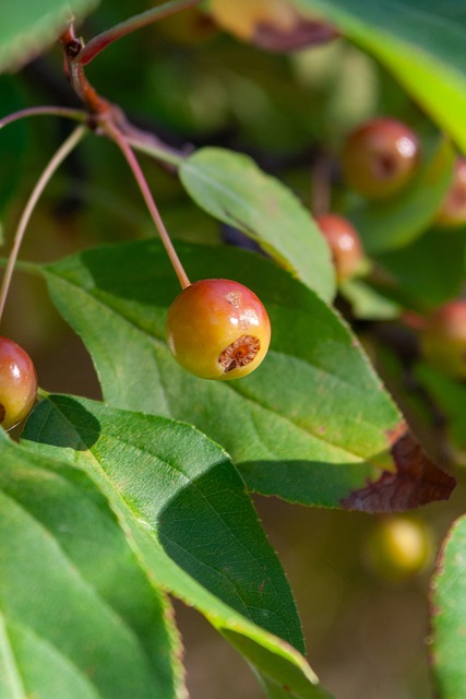 防守力度 防守力度