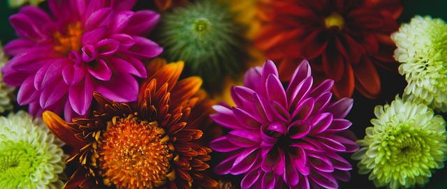 示深深的歉 示深深的歉