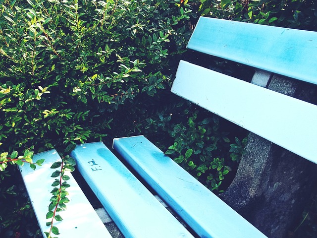 可能成为戏 可能成为戏