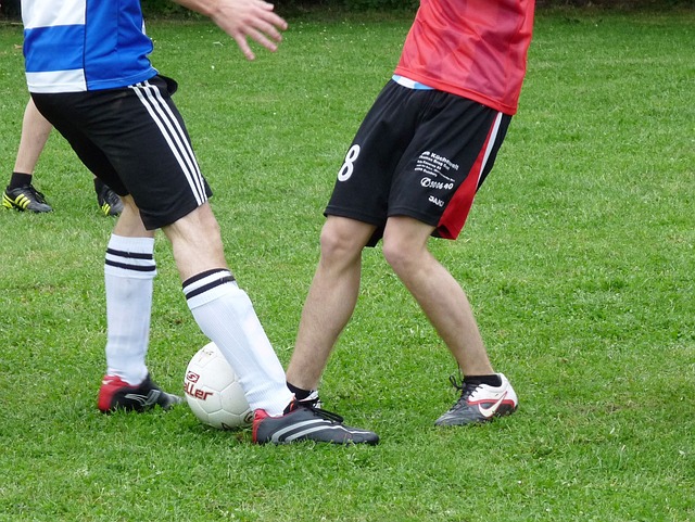 很多在转会 很多在转会