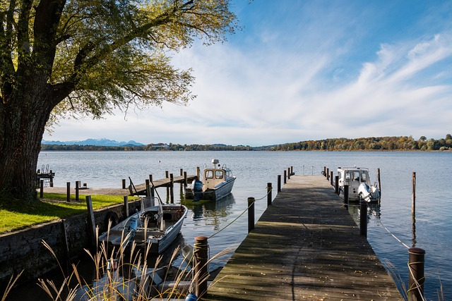 他们的比赛 他们的比赛