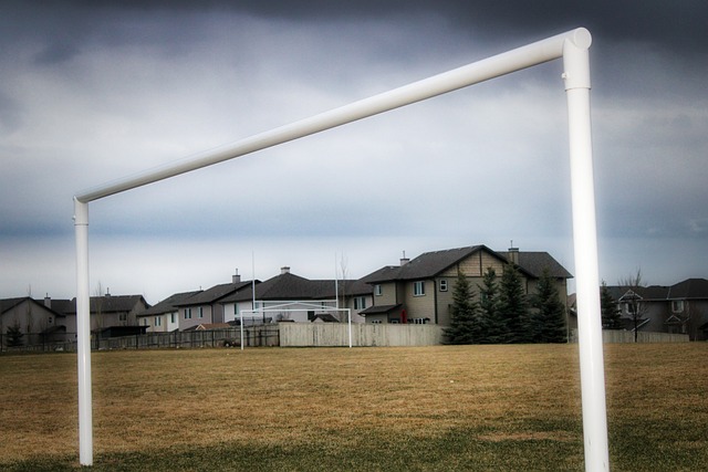 省港杯足球赛回归！老品牌赛事释放大湾区新活力.