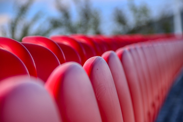 的新东北德 的新东北德