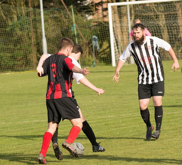 场以其出色 场以其出色