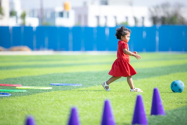 完全的统治 完全的统治