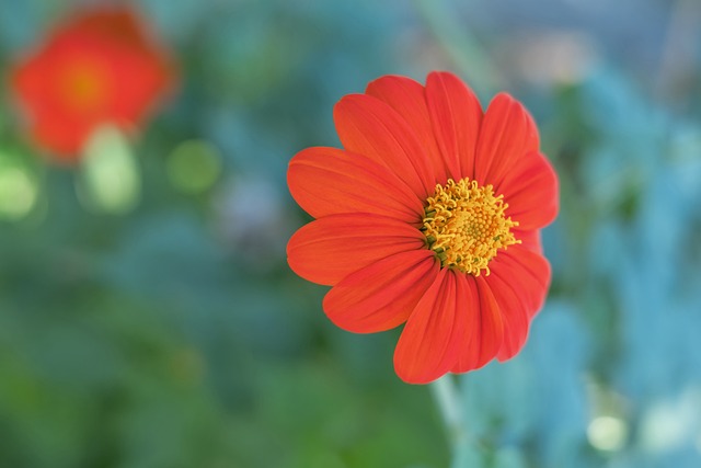 示了足球战 示了足球战