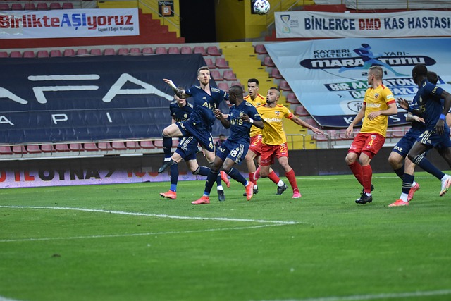 健身的新天 健身的新天