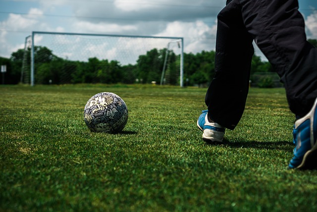 的方式在赛 的方式在赛