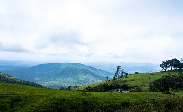 亚冬会执委会：亚冬会朋友圈越来越大.